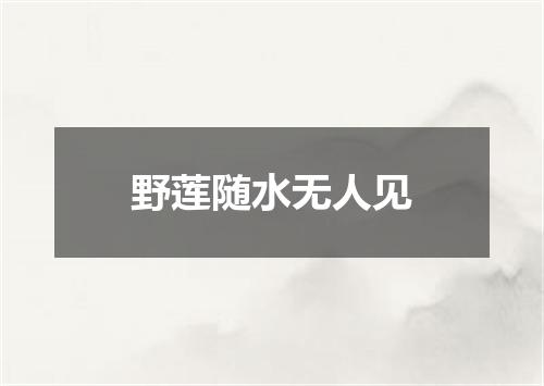 野莲随水无人见