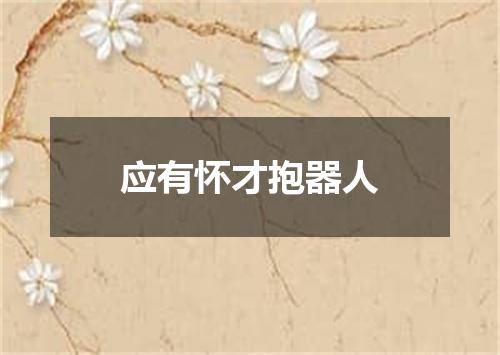 应有怀才抱器人