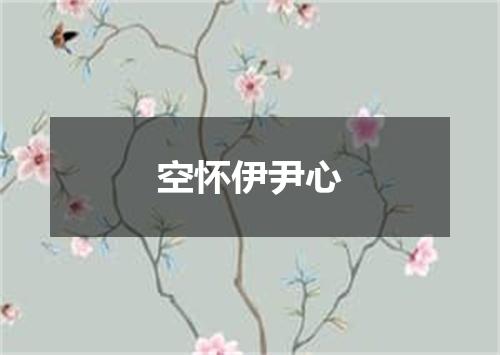 空怀伊尹心
