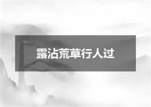 露沾荒草行人过