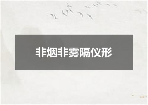 非烟非雾隔仪形