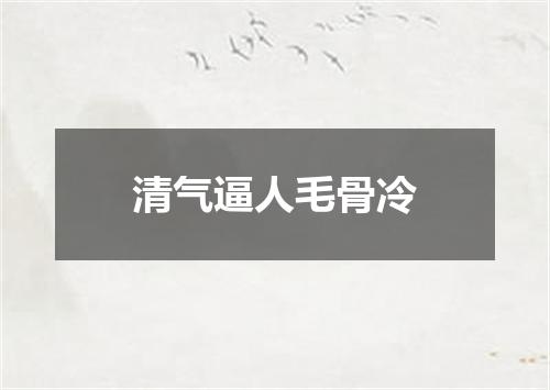 清气逼人毛骨冷