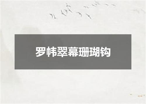 罗帏翠幕珊瑚钩