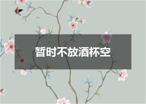 暂时不放酒杯空