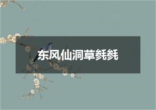 东风仙洞草毵毵