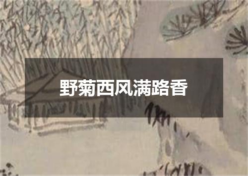 野菊西风满路香