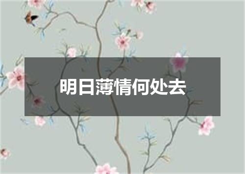 明日薄情何处去