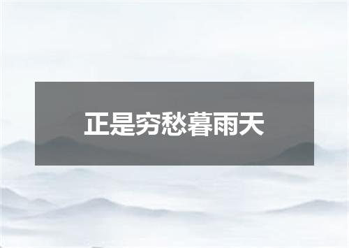 正是穷愁暮雨天