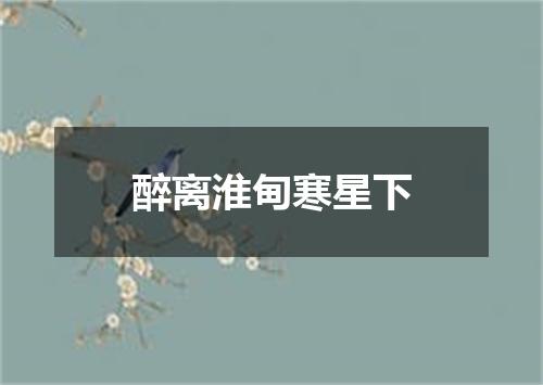 醉离淮甸寒星下