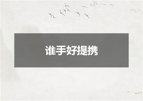 谁手好提携