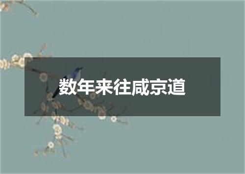 数年来往咸京道