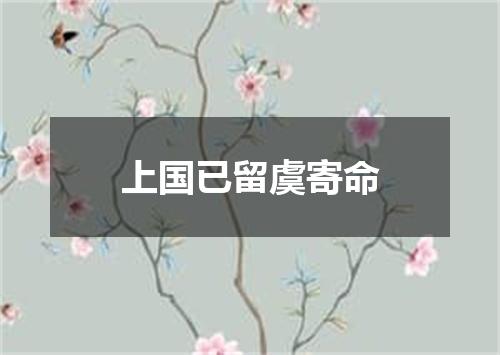 上国已留虞寄命