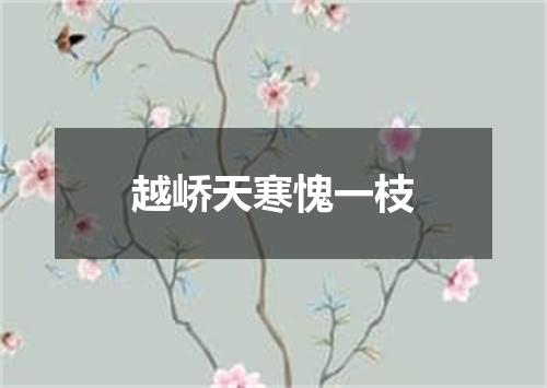 越峤天寒愧一枝