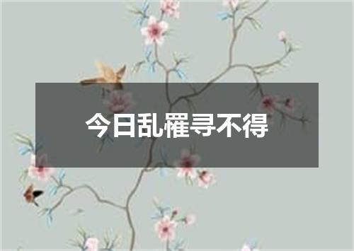 今日乱罹寻不得
