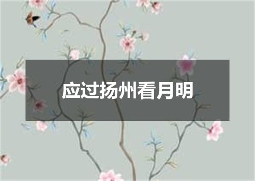 应过扬州看月明