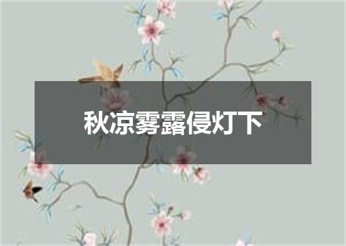 秋凉雾露侵灯下