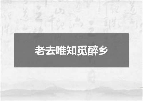老去唯知觅醉乡