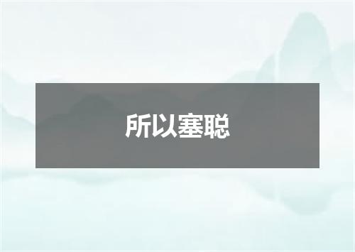 所以塞聪