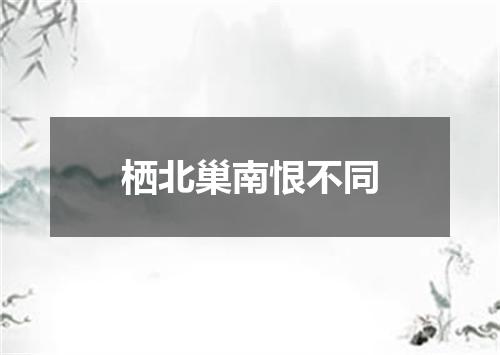 栖北巢南恨不同