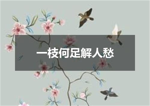 一枝何足解人愁