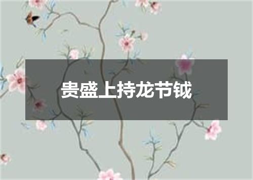 贵盛上持龙节钺