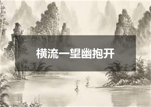 横流一望幽抱开