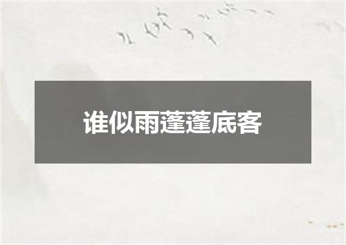 谁似雨蓬蓬底客