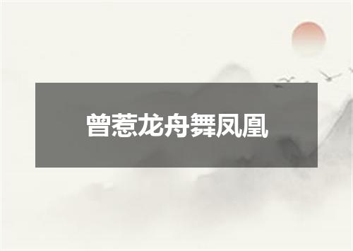 曾惹龙舟舞凤凰