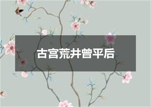 古宫荒井曾平后