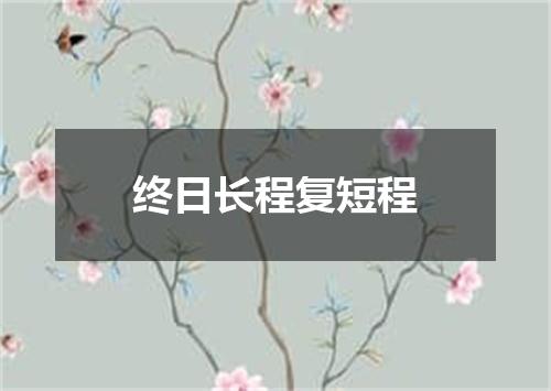 终日长程复短程
