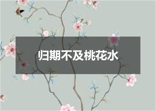 归期不及桃花水