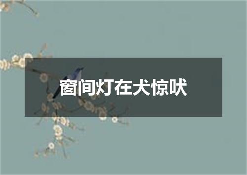 窗间灯在犬惊吠