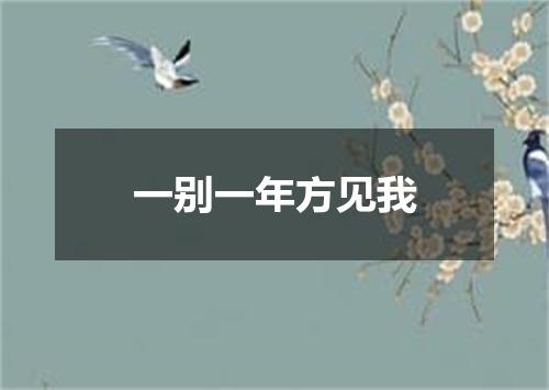 一别一年方见我