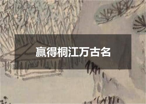 赢得桐江万古名