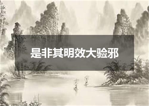是非其明效大验邪