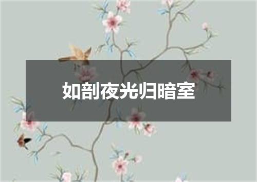 如剖夜光归暗室
