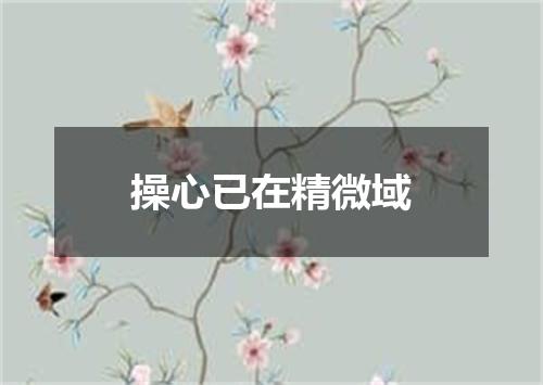 操心已在精微域