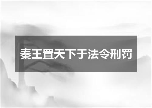 秦王置天下于法令刑罚