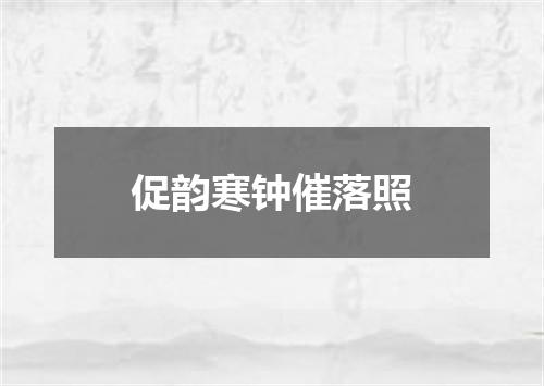 促韵寒钟催落照