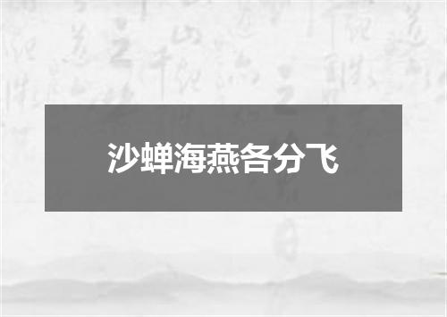 沙蝉海燕各分飞