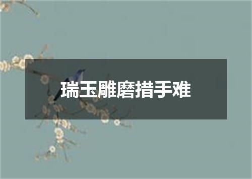 瑞玉雕磨措手难