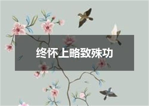 终怀上略致殊功