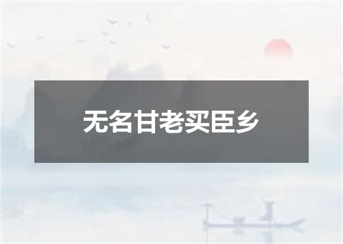 无名甘老买臣乡
