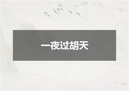 一夜过胡天