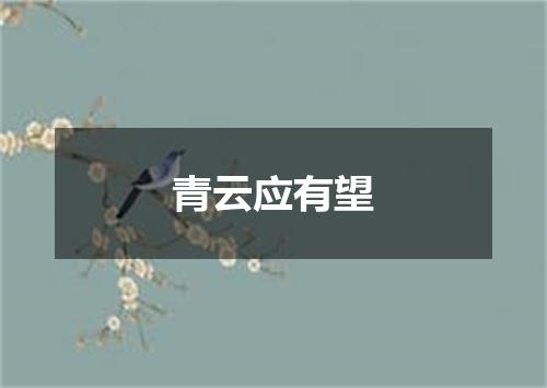 青云应有望
