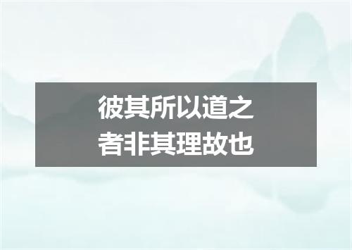 彼其所以道之者非其理故也