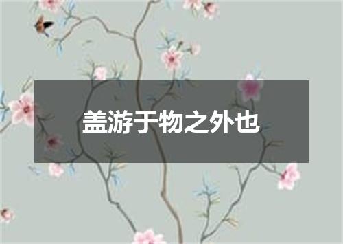 盖游于物之外也