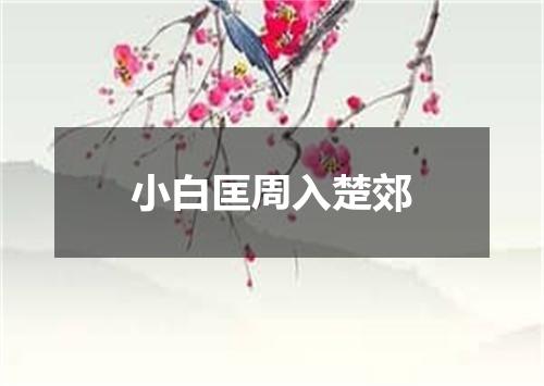小白匡周入楚郊