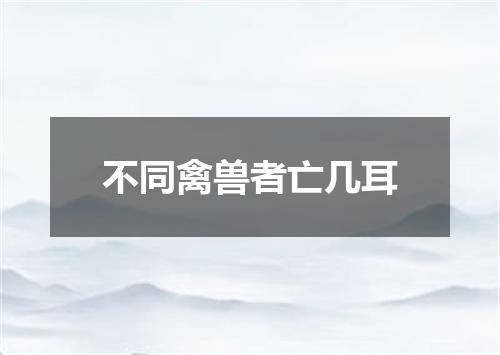 不同禽兽者亡几耳