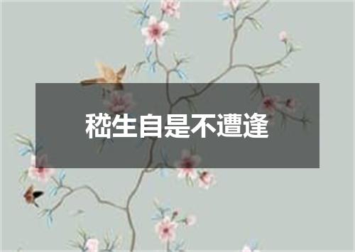 嵇生自是不遭逢